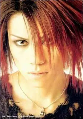 Qui est ce chanteur(se) ?