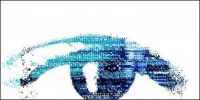 Quelle émission, diffusée en 1999 aux Pays-Bas, a lancé la mode de la Téléréalité ?