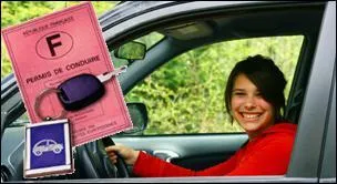 La couleur du voyant indiquant l'allumage des feux de croisement est le :