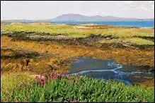 L'un de ces mots ne dsigne pas une province irlandaise. Lequel ?