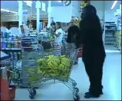 Quelle est cette race ?