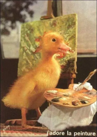 Comment s'appelait ce petit canard télévisuel ?