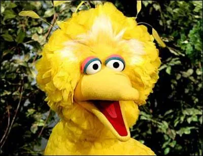 Dans quelle émission de marionnettes peut-on croiser Big Bird ?