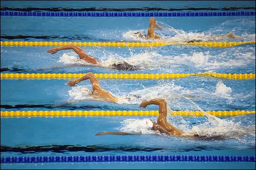 Combien de médailles les nageurs français ont-ils ramené des championnats du monde de Shanghai ?