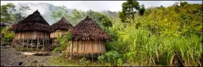 C'est le ''Pays des hommes intègres'' mais avant on l'appelait Haute-Volta.