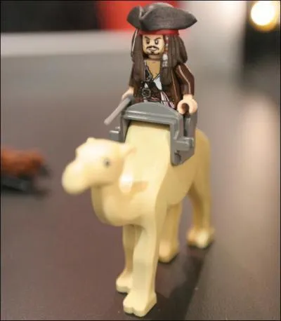 C'est le capitaine...