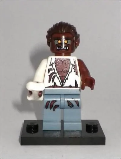 Humain se transformant les soirs de plaine lune.