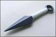 Comment appelle-t-on cette arme ?