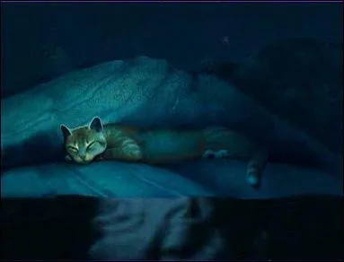 Dans le tome 5, comment Lac de Givre meurt-elle ?