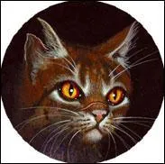 Dans le tome 6, qu'est-ce que la Colline Macabre ?