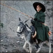 Comment se termine le film ?