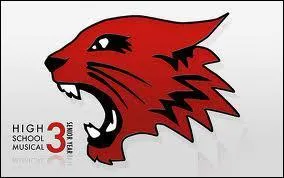 Quel est le nom de l'quipe de basket ?