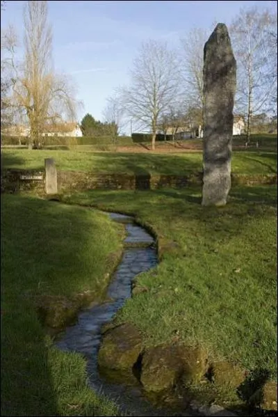 La Sane est le principal affluent du Rhne qu'elle rejoint  Lyon, aprs un parcours de 480 km. Dans quel dpartement prend-elle sa source ?