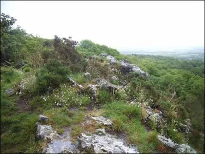 Dans quelle rgion de France les Montagnes Noires culminent-elles  318 m, au roc Toullaron ?