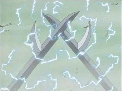 A qui tait cet objet ?