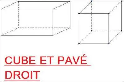 Le pav droit et le cube ont le mme nombre d'artes, de sommets et de faces.