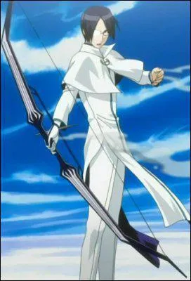 Combien d'arcs diffrents a-t-il dj possds ?