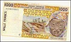 En Afrique, si vous n'avez pas votre mallette sous la main, quel objet peut la remplacer ?