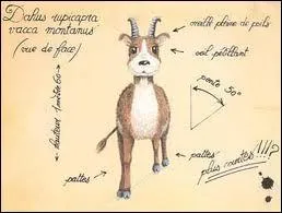 Le Dahu existe-t-il vraiment ?