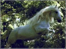 Les licornes ont-elles vraiment exist ?