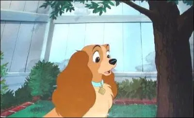 Comment s'appelle ce personnage ?