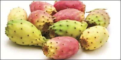 Sur quoi pousse la figue de Barbarie ?