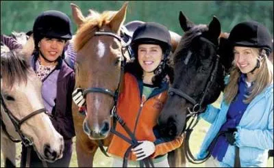 Qui sont ces chevaux ?