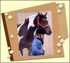 Comment s'appelle ce poney ?