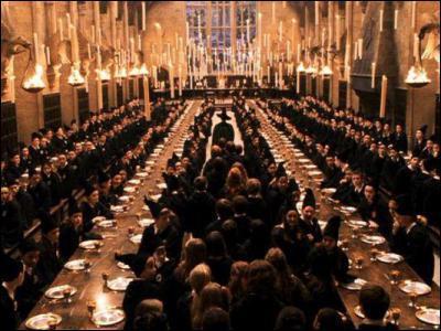 Dans le premier Harry Potter, dans quelle maison est-il all ?