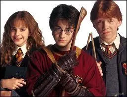 Qui sont les amis de Harry Potter ?