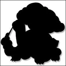  quel Pokmon appartient cette ombre ?