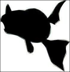  quel Pokmon appartient cette ombre ?