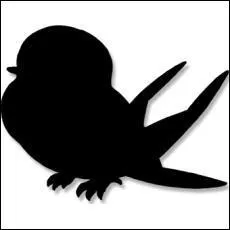  quel Pokmon appartient cette ombre ?