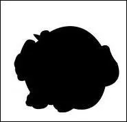  quel Pokmon appartient cette ombre ?