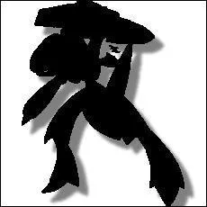  quel Pokmon appartient cette ombre ?