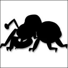  quel Pokmon appartient cette ombre ?