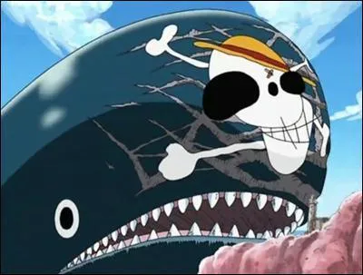 Comment s'appellent les deux personnes qui cherchent  tuer la baleine Laboon ?