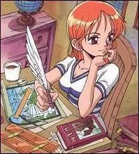 Qu'est-ce que le  log pose  ?