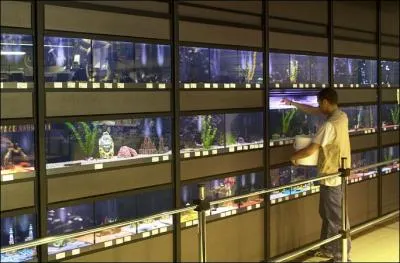 Qui travaille dans ce genre d'endroit ( image) ?