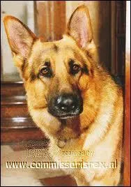 La srie dans laquelle je joue porte mon nom, je suis :