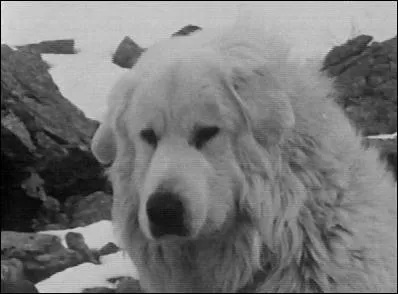 Avec Sbastien, nous formons un couple idal et on me nomme ?