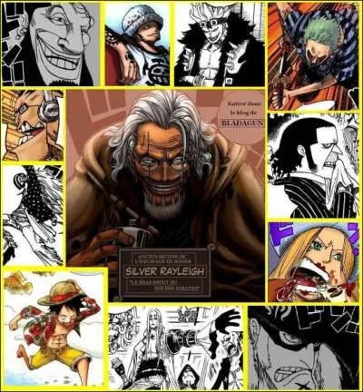 Parmis ''Les Onze Supernovae'', qui a sa tte mise  prix pour 315 millions de Berrys ?