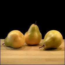 La poire' Bon-Chrtien', une fois passe au XVII me sicle en Angleterre, aurait pris le nom d'un jardinier et s'appelle aujourd'hui :