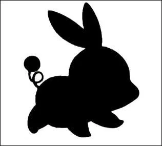 Comment s'appelle la dernire volution du starter du type feu ?