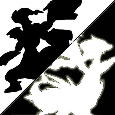 Qui sont les deux principaux lgendaires dans Noir et Blanc ?