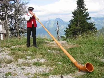Cet instrument traditionnel vient des Alpes, quel est son nom ?