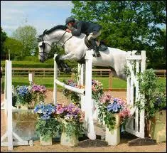 Quelle est cette discipline questre ? (attention pige)