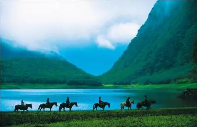 Quelle est cette discipline questre ?