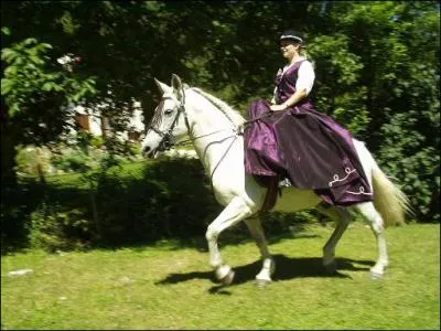 Quelle est cette discipline questre ?