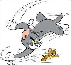 Nous formons un couple des plus clbres, Jerry et moi...